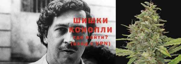 мдпв Вязники