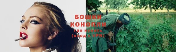 шишки Вяземский