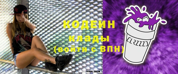 шишки Вяземский