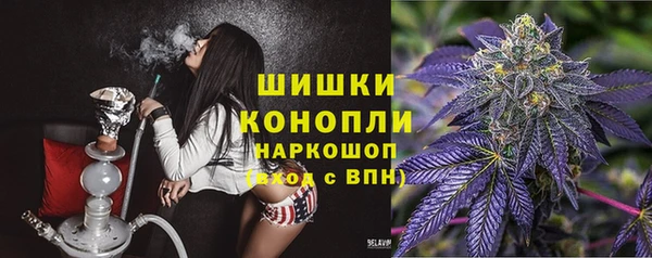 шишки Вяземский