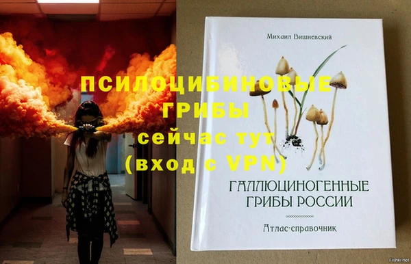 мдпв Вязники