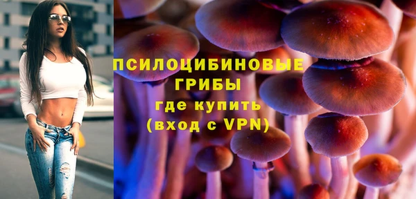 мдпв Вязники