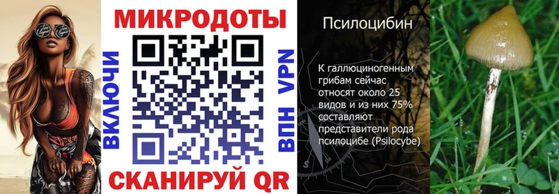 Псилоцибиновые грибы ЛСД  купить закладку  ОМГ ОМГ зеркало  Элиста 