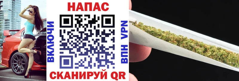 сколько стоит  Элиста  Бошки марихуана семена 